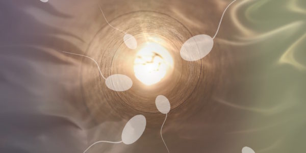 Spermien Anzahl bei Männern stark rückläufig, Unfruchtbarkeit nimmt zu