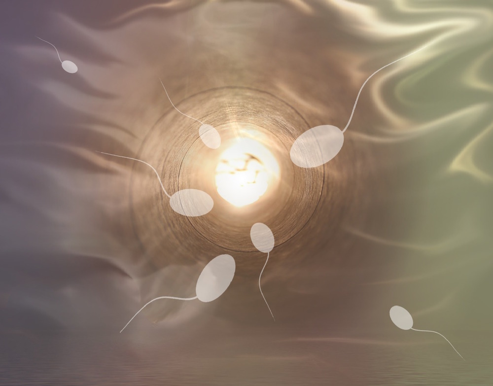neue-studie-belegt-europ-ische-m-nner-produzieren-weniger-spermien